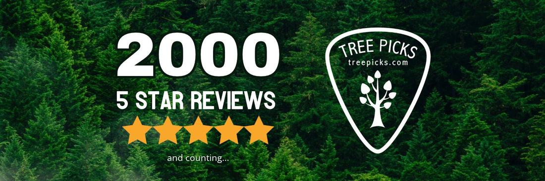 tree picks wooden guitar picks gifts for guitar players