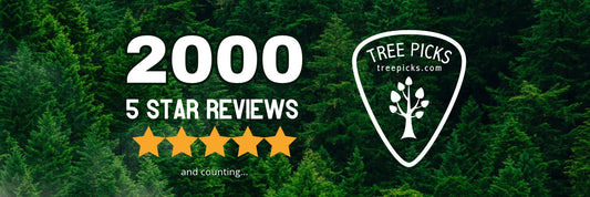 tree picks wooden guitar picks gifts for guitar players