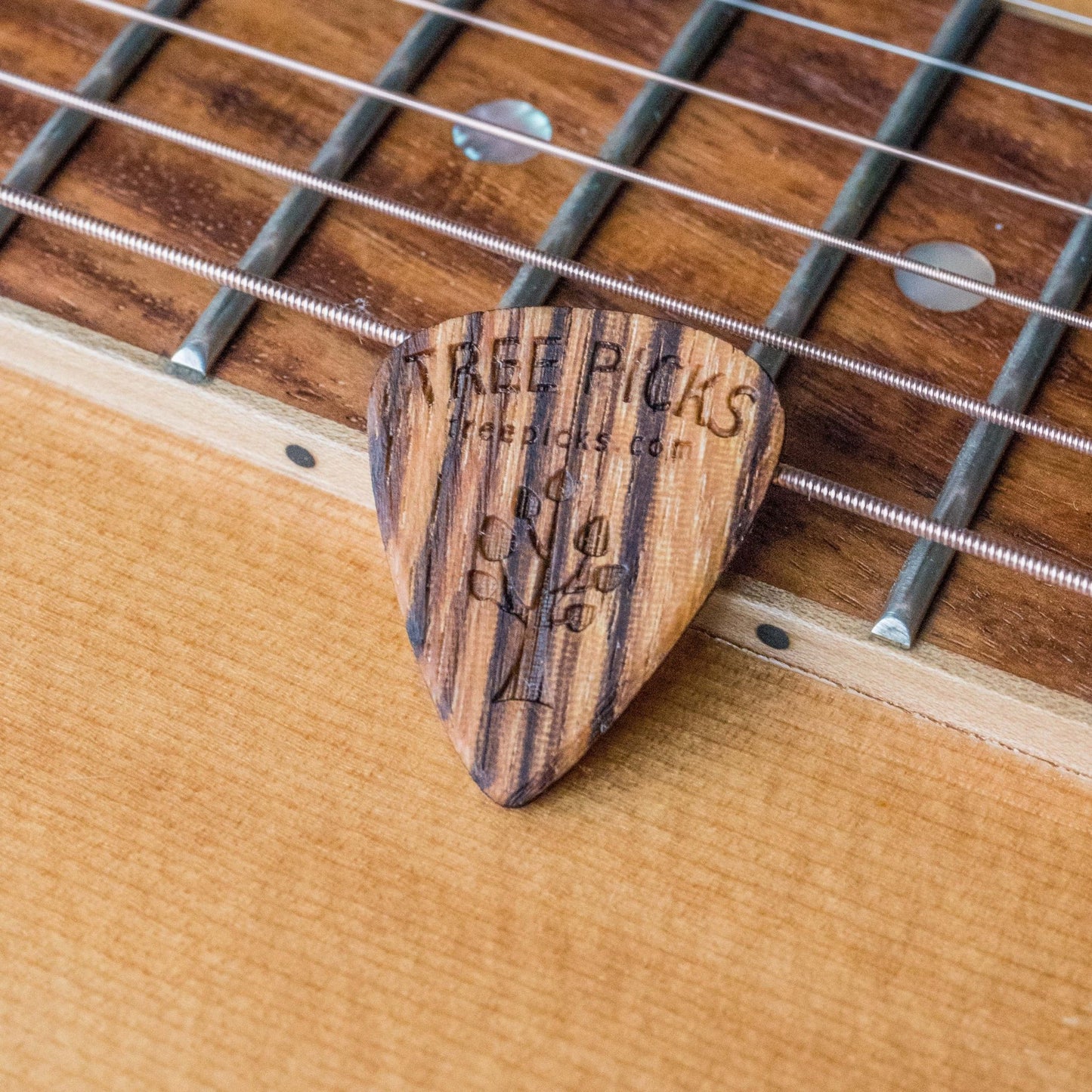 Tree Picks Zebra (5 picks)