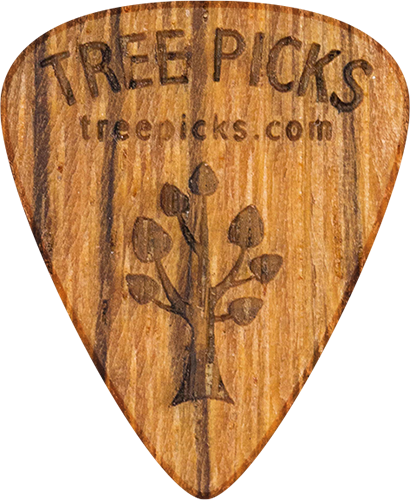 Guitar Pick - Zebra Wood - Tree Picks - Zebrano
