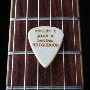 neighbour guitar picks gift