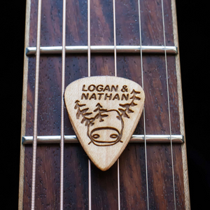 logan and nathan music folk indie guitar picks tree